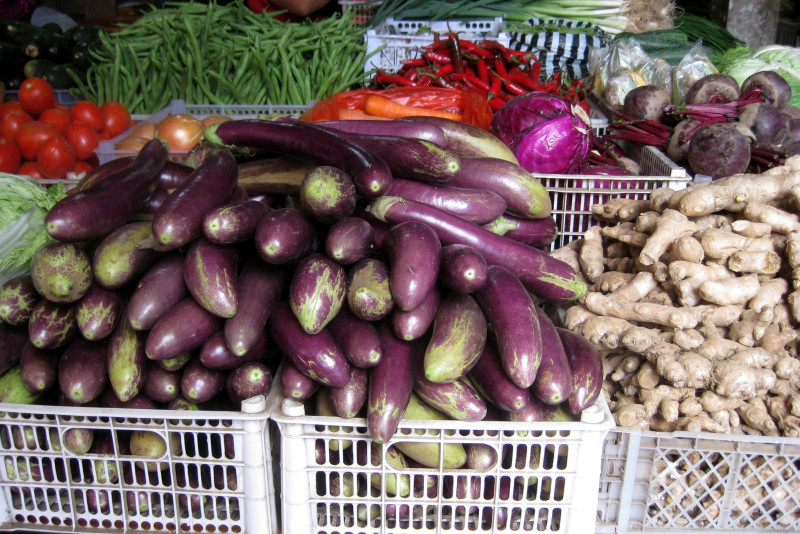 54-Eggplant-Ginseng-Thompson-B