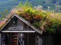Cleland-Geiranger-sod-roof-Boathouse-2361