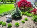 Hughes-A-Yard-Trees-Lantern