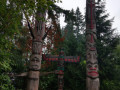 Hughes-D-Totem-Woods
