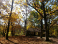 Kimmel-Seward-Bluffs-Forest-Preserve-CCC-Shelter