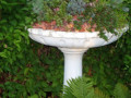 OConnell-Bird-Bath-Garden