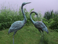 OHayer-Lovebirds-with-Lake