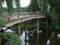 OHayer-Wooden-Bridge