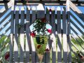 Paulson-Mandevilla-Gate