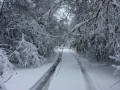 Scales-P-Snowy-Driveway