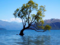 20-Tree-Lake-Julian-C
