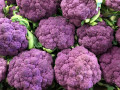 4-Purple-Cauliflower-Cleland