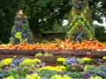 44-Vegetables-Trees-Paulson