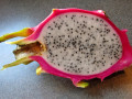 51-Dragon-fruit-Plasz-S