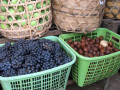 55-Grapes-Figs-Thompson-B