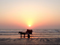 8-Sunset