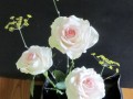 48-Moonstone-HT-Roses-with-Bronze-Fennel-flowers