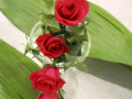 45-Daddy-Frank-Mini-Rose