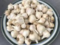 63-Garlic