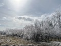 11-Ice-Storm