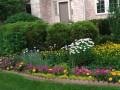 16-Lawn-Edge-Flowers
