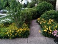 18-Sidewalk-Flowers-Plants