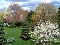 19-Yard-Shrubs-and-Trees