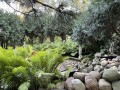 37-Backyard-Detail