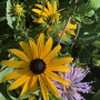 76-Libertyville-Home-Garden