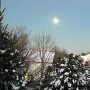 15-Winter-Sun
