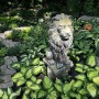 39-Hosta-Guardian-1